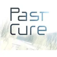 Ps4 Past Cure