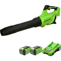 Greenworks Batteridriven lövblås GD40ABIIK2X; 40 V; 2x2,0 Ah batt.