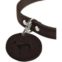 Hunter Aalborg Hundhalsband
