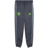 Puma Manchester City King Anthem Pants Men, storlek Large