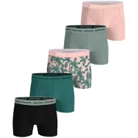 Björn Borg Cotton Stretch Boxers 5-pack Svart, XS
