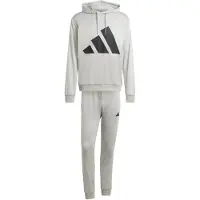 Adidas Träningsoverall 'BIG LOGO HOODED' grå / svart