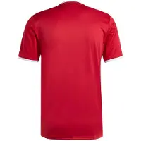 Adidas Entrada26 Graphic Tröja, storlek Medium