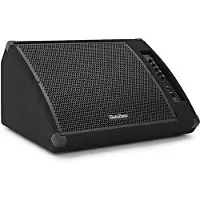 SubZero 260W 15 tum Aktiv Golvmonitor