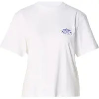 Calvin Klein Relaxed Embroidered Logo T-Shirt