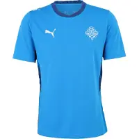Puma Island Hemmatröja 2026/27 - , storlek Small