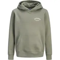 Jack & Jones Brandes Backp Relaxed Huvtröja