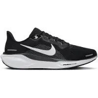 Nike Springsko 'Pegasus 41' svart / vit