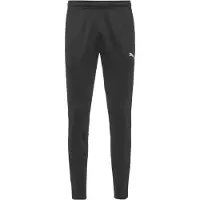 Puma Sportbyxa 'Team Goal' grå / svart