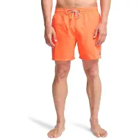 Billabong All Day Simshorts