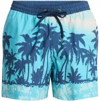 Quiksilver Everyday Printed Volley 15 Boardshorts aqua thermotropics Storlek L