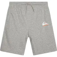 Quiksilver Easy Day Sportshorts