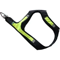 Axaeco X-run Hundsele