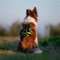 Axaeco 4 Season Broad Peak Hundsele