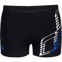 Arena Graphic Swim Simshorts