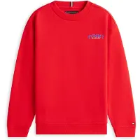 Tommy Hilfiger Sweatshirt blå / röd / vit
