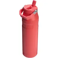 Stanley ICEFLOW BOTTLE FLIP STRAW 1,06 L Frost