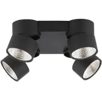 Paul Neuhaus LED-taklampa Nola, 4 lampor, svart dimbar, Svart, Vardagsrum / matsal, Modern, LED-taklampa