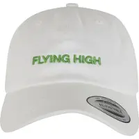 Mister tee Upscale Flying High Dad Keps