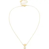 Swarovski Halsband guld / transparent