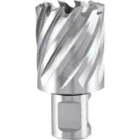 RUKO 108260e Hss-co 5 Cobalto Weldon Ø 60 Mm Hålborr