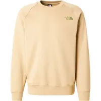 The North Face Redbox Raglan Regular Tröja