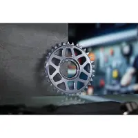 E*thirteen Helix Race E-spec Direct Mount Avinox Kedjehjul