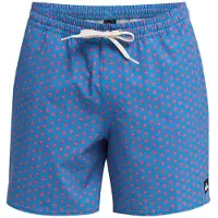 Quiksilver Stretch Printed Volley 16 Boardshorts riviera mini mayhem Storlek S