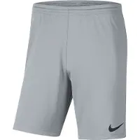 Nike Shorts Dry Park Iii - Wolf Grey/svart Barn, storlek M: 137-147 cm