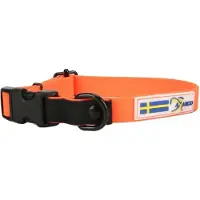 Axaeco Action Hundhalsband