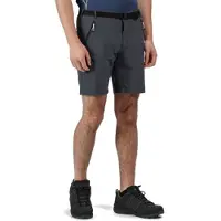 Regatta Xert Stretch Iii Shorts