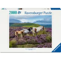 Ravensburger - Wild Horses 2000p