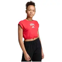 Adidas Seasonals Collegiate Typography T-shirt Med Korta ärmar