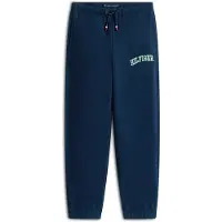Tommy Hilfiger Logo Embroidery Terry Joggers