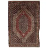 Rezas Seneh orientalisk matta 204 x 304 cm