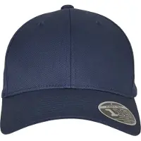 Flexfit 110 Curved Visor Snapback Cap Blå Man