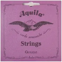 Aquila 96C New Nylgut