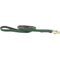 Kentucky Nylon Plaited Hundkoppel 12 Mm