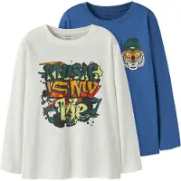 Name it T-shirt 'NKMVELDO' blå / gran / orange / vit