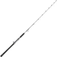 Penn Battalion Solid Boat Spiral Jig Baitcastingspö