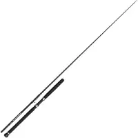 Penn Prevail III LE SW Boat Inline spinnspö