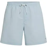 O'Neill Vert 16'' Boardshorts spindle Storlek S