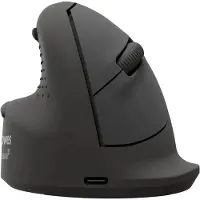 Fellowes 100143584 Trådlös Mus