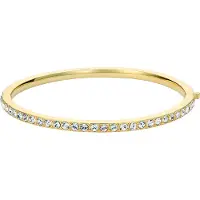 Ted Baker Armband guld / transparent