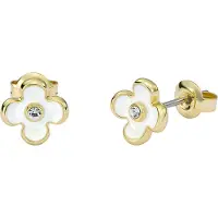 Ted Baker GAYLA örhängen 06-TBJ4143-02-08