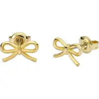 Ted Baker BROOKE örhängen 06-TBJ4156-02-03
