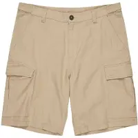 Element Legion Wk Cargo Shorts