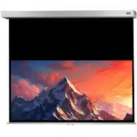 Celexon 1090815 Projektorduk Manuell 220 x 137 cm Bild - Format: 16:10