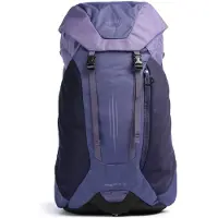 Osprey - Dagstursryggsäckar - Hikelite LT 30 Botswana Purple för Unisex - Lila