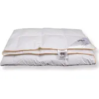 Borg Living Dubbel sommardyna - Gåsdunsdyna - Lätt och sval - Allergivänlig - 200x220 cm -